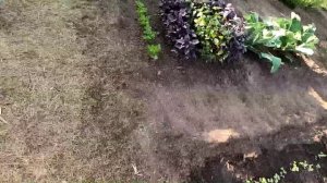 Участок 7 июля