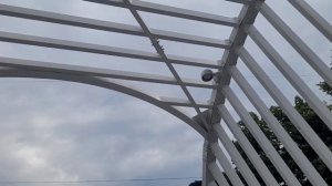 Едем в Москву на народные игры гто,   первый день идём в Моссковский зоопарк.