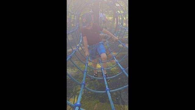 Солнечный день