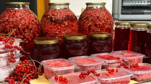 Повторяю каждый год: самые лучшие РЕЦЕПТЫ заготовки красной смородины от канала "Сейчас Приготовим!