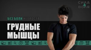 ГАЙД НА ГРУДНЫЕ МЫШЦЫ