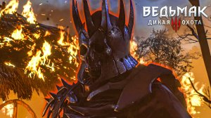 Тихое прохождение игры (Ведьмак 3: Дикая Охота). Серия №7. ДИКАЯ ОХОТА!