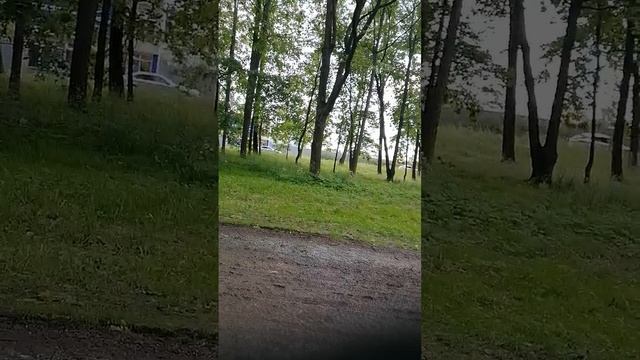 Не сидите дома, распогодилось