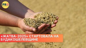 «Жатва-2025» стартовала на Будакошелевщине