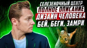 Селезёночный центр в Дизайне Человека: страхи, здоровье и интуиция | Николай Экволс
