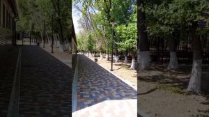 Лагерь "Лесная сказка" в Ипатово.