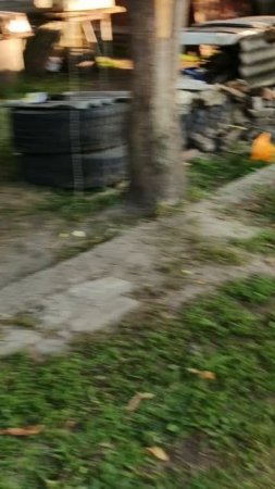 1000000807.mp4