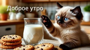 Доброе☀️утро🐱07-07-2025 #смешныекоты #жизнь инвалида #доброеутро #поговорить