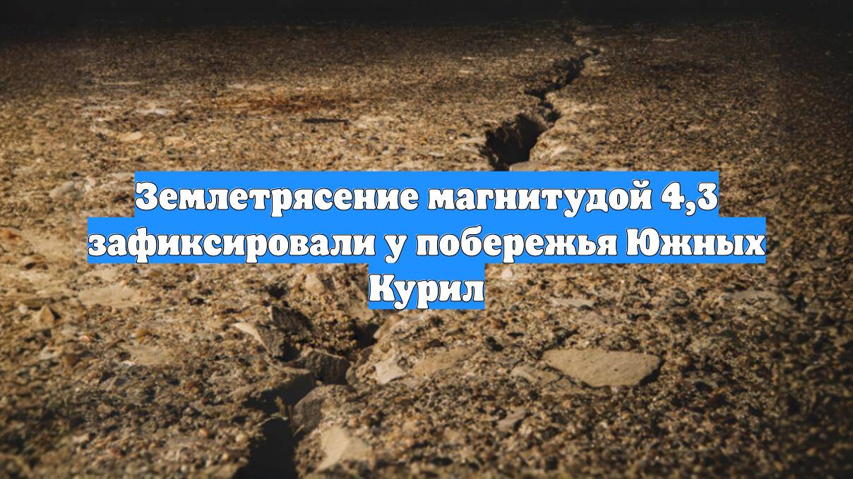 Землетрясение магнитудой 4,3 зафиксировали у побережья Южных Курил