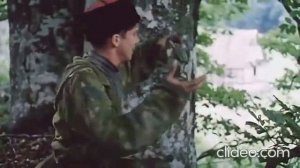 Александр Поручикъ - Казакъ воинъ, а не холопъ