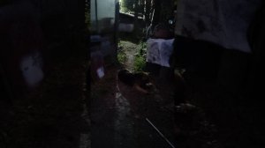 12 видео