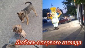 Семья из Мариуполя. Я не ожидала такого поворота. #мариуполь #мариупольсегодня #мариупольвидео