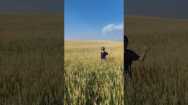 #Сибирское здоровье
#Мойдень