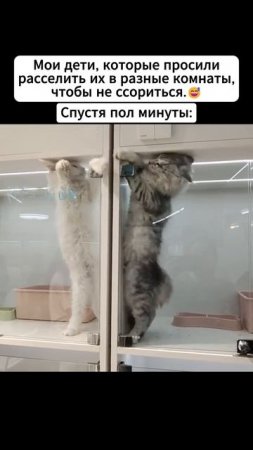 Милашки