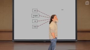 Роберт Сапольски — Депрессия 2