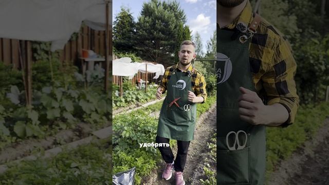 Лунный календарь садовода-огородника на Июль #сад #огород #комнатныерастения #лунныйкалендарь