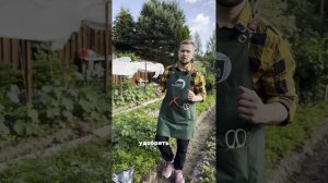 Лунный календарь садовода-огородника на Июль #сад #огород #комнатныерастения #лунныйкалендарь