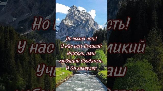 VID_20250707_004301_321.mp4