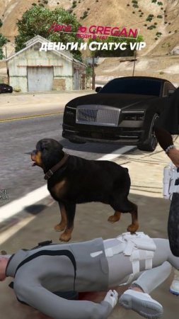 Оглушил собаку, чтобы залутаться 🤯 #MajesticRP #HunterDog #GTA5 #Detroit