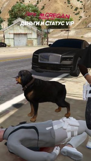 Оглушил собаку, чтобы залутаться 🤯 #MajesticRP #HunterDog #GTA5 #Detroit