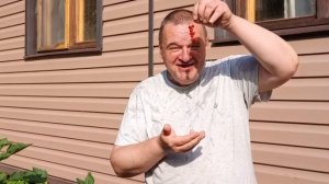 Пробую смородину.