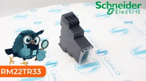RM22TR33 Реле контроля Schneider Electric - Олниса