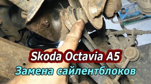 Skoda Octavia A5 - Замена Сайлентблоков Заднего Рычага