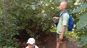 Маньяк! 1 сезон,1 серия! "Что за похититель детей?"