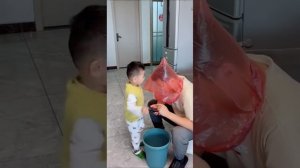 Животные приколы и не только