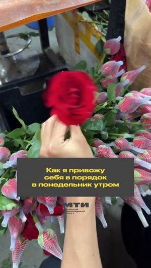 Какая вы роза сегодня?🌹