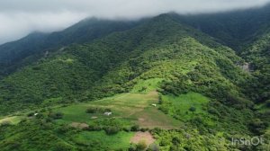 Video nature#4