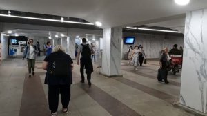 МУЗЫКА В МЕТРО И ПЕРЕХОДАХ - ГАРМОНИСТ С СИНЕЙ ГАРМОШКОЙ
