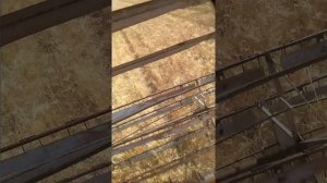 1000026237.mp4