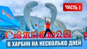 В Харбин на несколько дней. июнь 2025. ч.1. Поезд, Гостиница Ванда Холидей, Завтраки, Доставка еды
