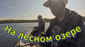 Вновь на разведке новых мест. Далекое лесное озеро с рекой в Карельской глуши.