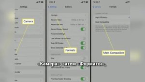 Как навсегда избавиться от HEIC на iPhone и экономить время при обработке фото