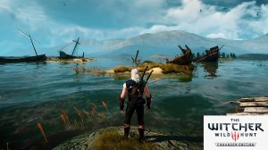 Ведьмак 3 - эффект черных лучей