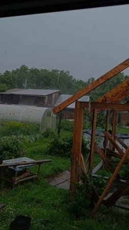 Ливень в июле