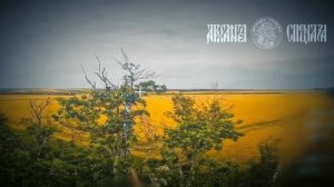 😎 Обрываем крылья!  Уничтожаем усилители сигнала и замаскированные антенны противника для прекра...