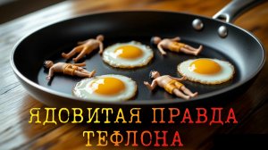 ЯДОВИТАЯ ПРАВДА ТЕФЛОНА
