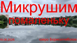 Микрушим помаленьку. 18.06.2025. озеро Борисоглебское. г. Раменское. Рыбалка в Подмосковье.