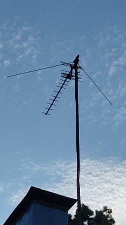 VID_20250707_055134.mp4