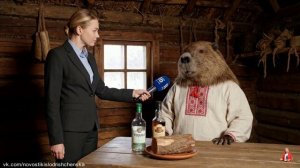 Сидим с бобром за столом