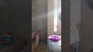 ,,      видео