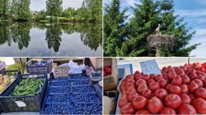 БЫЛИ НА РЫБАЛКЕ И БЫЛИ В ГОРОДЕ. НАЧИНАЕМ ДЕМОНТАЖ СТАРОЙ ОБШИВКИ ДОМА.