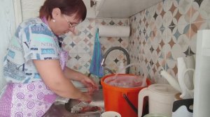 Жизнь в маленькой деревне. Косим, сушим, ворошим. Пересадила  зелень, хлопочу дома