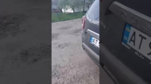 Ивано-Франковская область. Полицейские в гражданской одежде рыскают по территории и дому