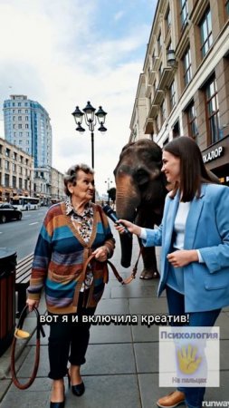 Зачем бабушке домашний слон?
