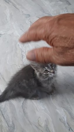 Счастье живет рядом с нами