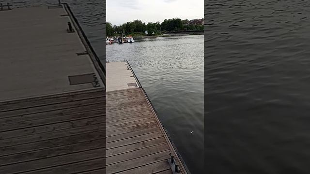 1000027227.mp4